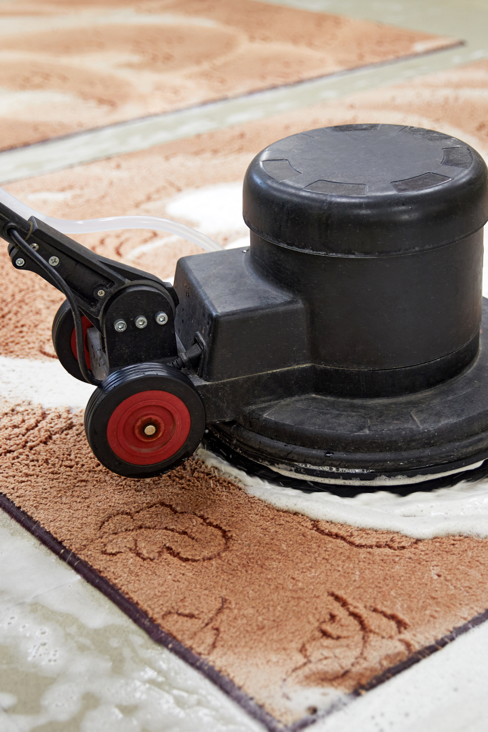 Carpet Cleaning
